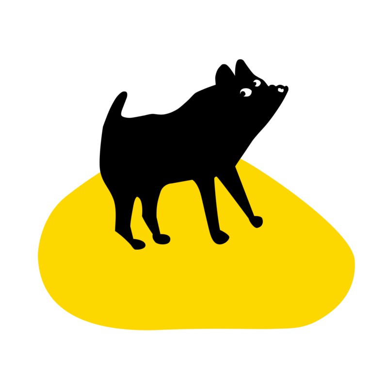 identité visuelle de la compagnie Chien Caillou